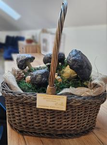 Paper mache