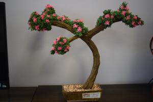 drzewo bonsai