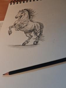 Koń